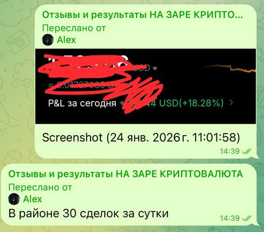 Отзыв ученика 15