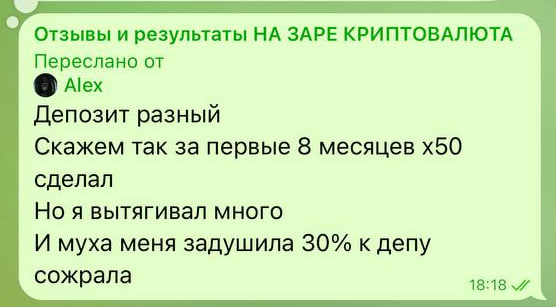 Отзыв ученика 8