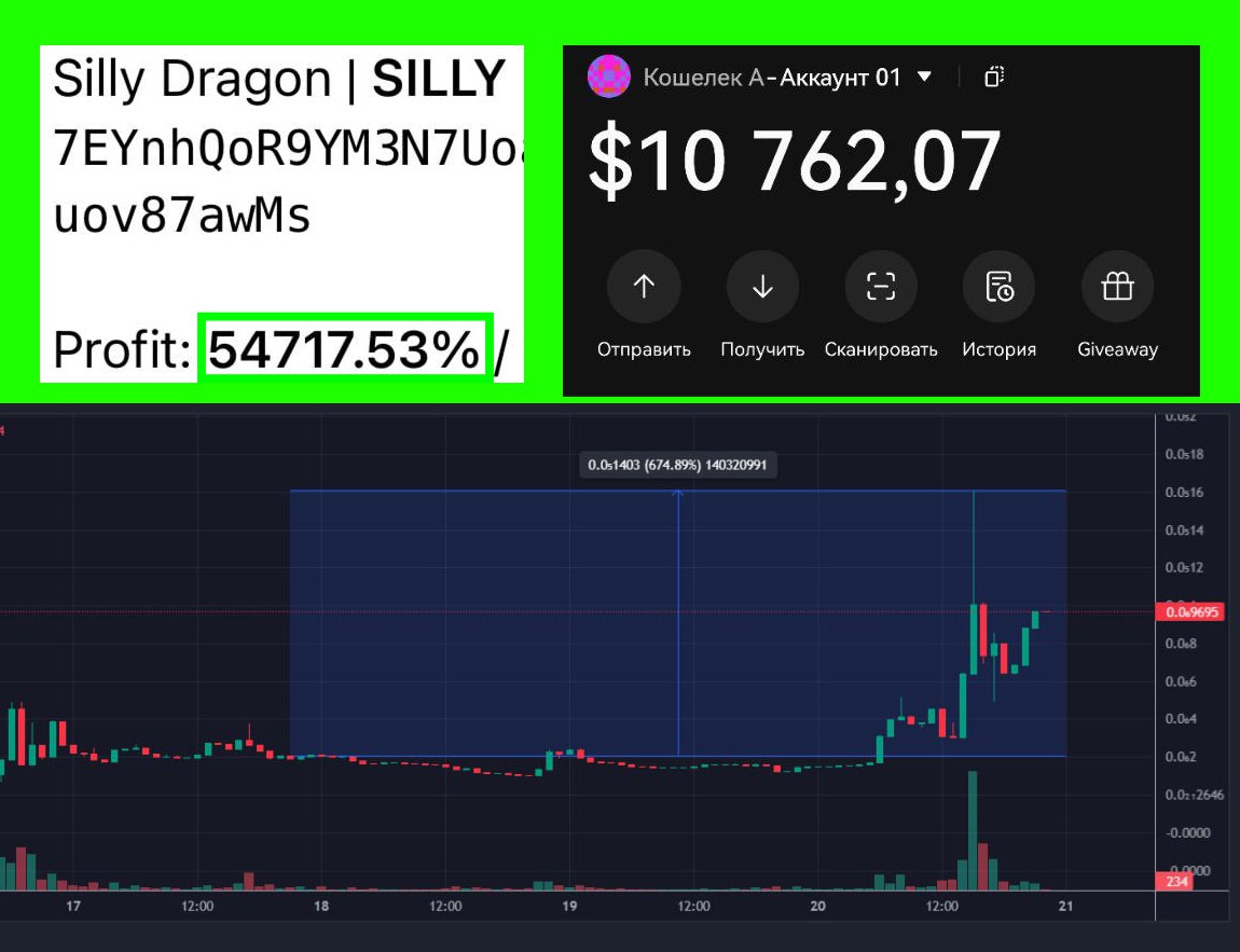 Silly Dragon: пример мемкоина на старте и результата