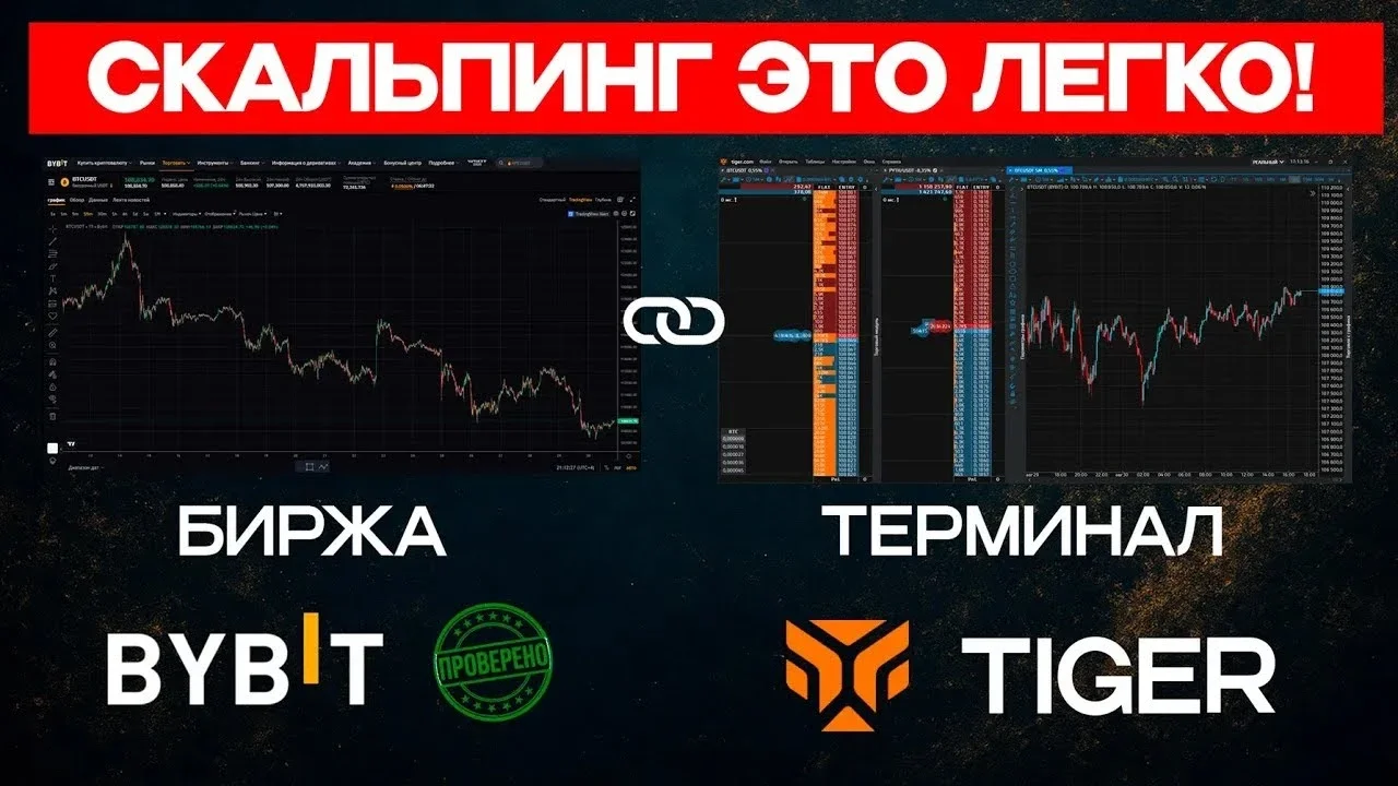 Связка для скальпинга: биржа Bybit и терминал Tiger.Trade